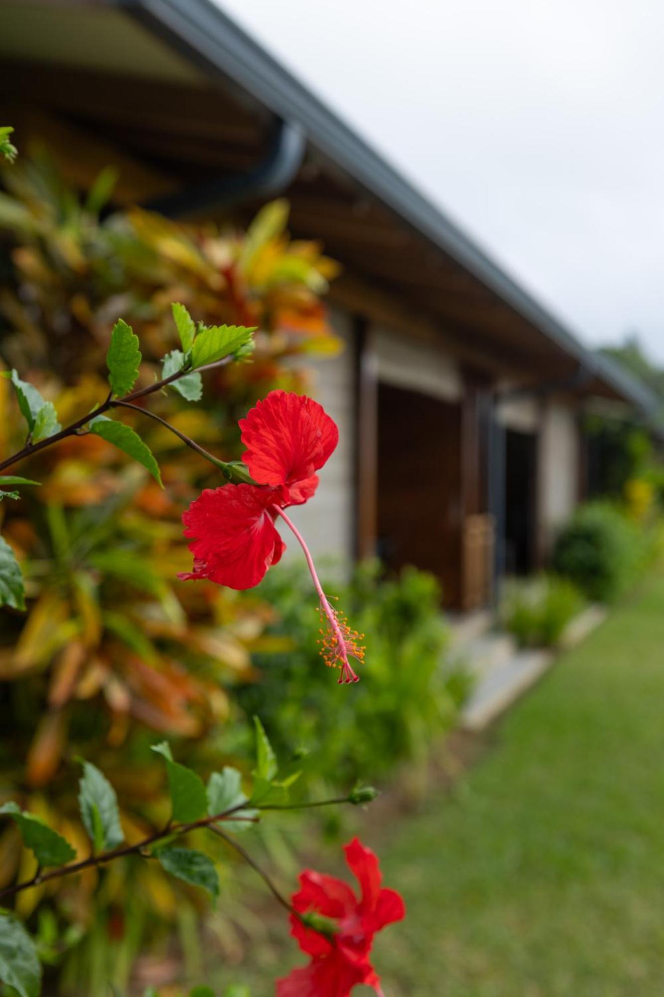 Paradise Chalets Yoga & Wellness Takamaka Exteriér fotografie